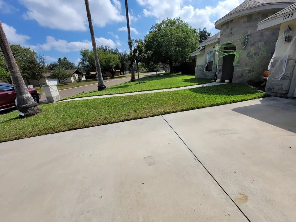 Trusted yard cleanup service for beautiful yards in San Juan, TX by Edward American Lawn Services