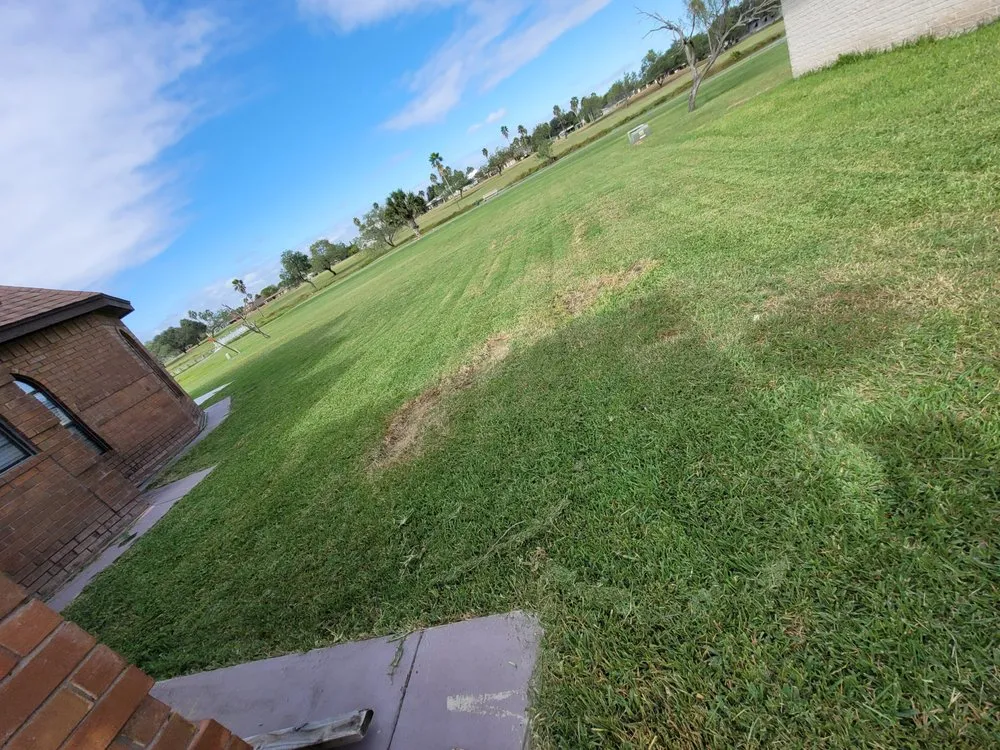 Affordable residential landscaping for beautiful yards across San Juan, TX - Edward American Lawn Services