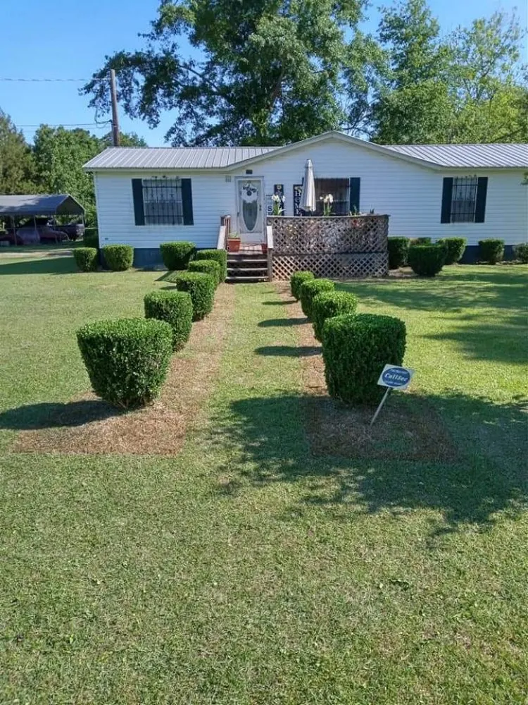 Trusted lawn care service experts serving Cairo, GA - Edward Jones LawnCare