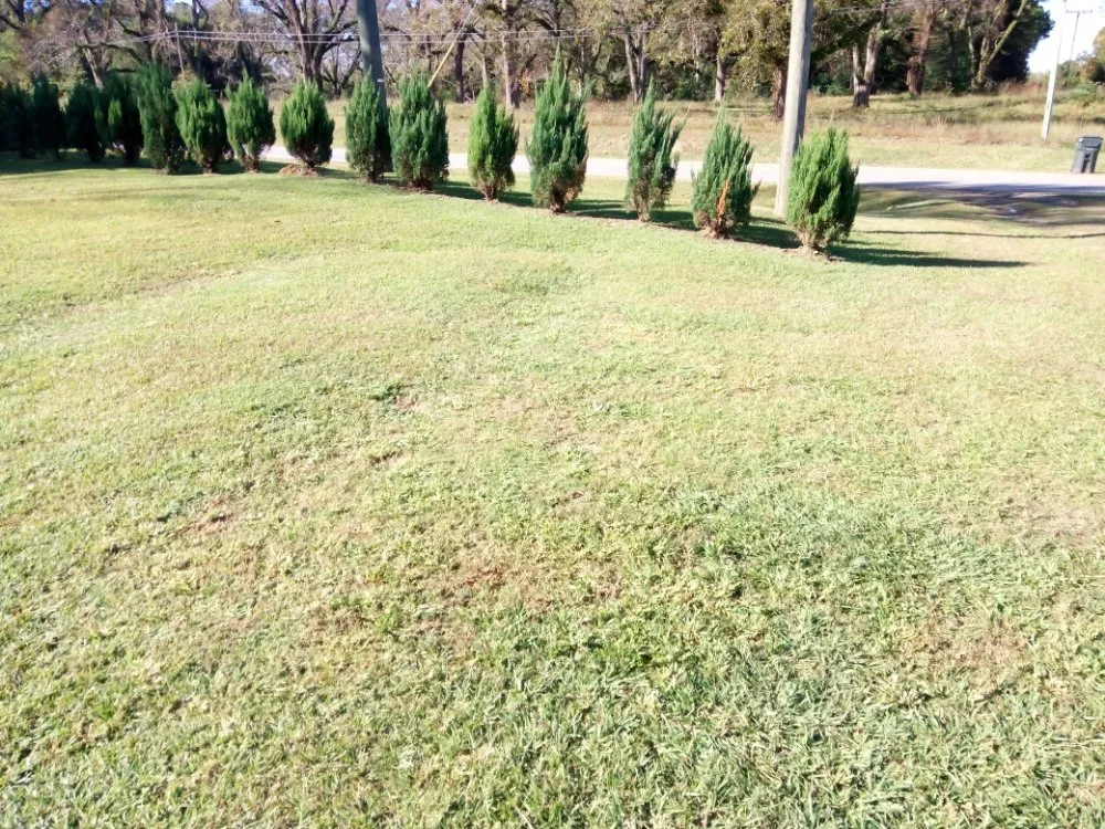Professional residential landscaping in Cairo, GA by Edward Jones LawnCare