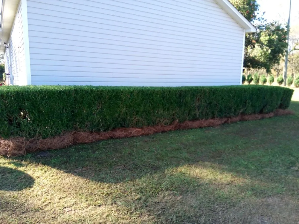 Trusted lawn mowing service near you in Cairo, GA by Edward Jones LawnCare