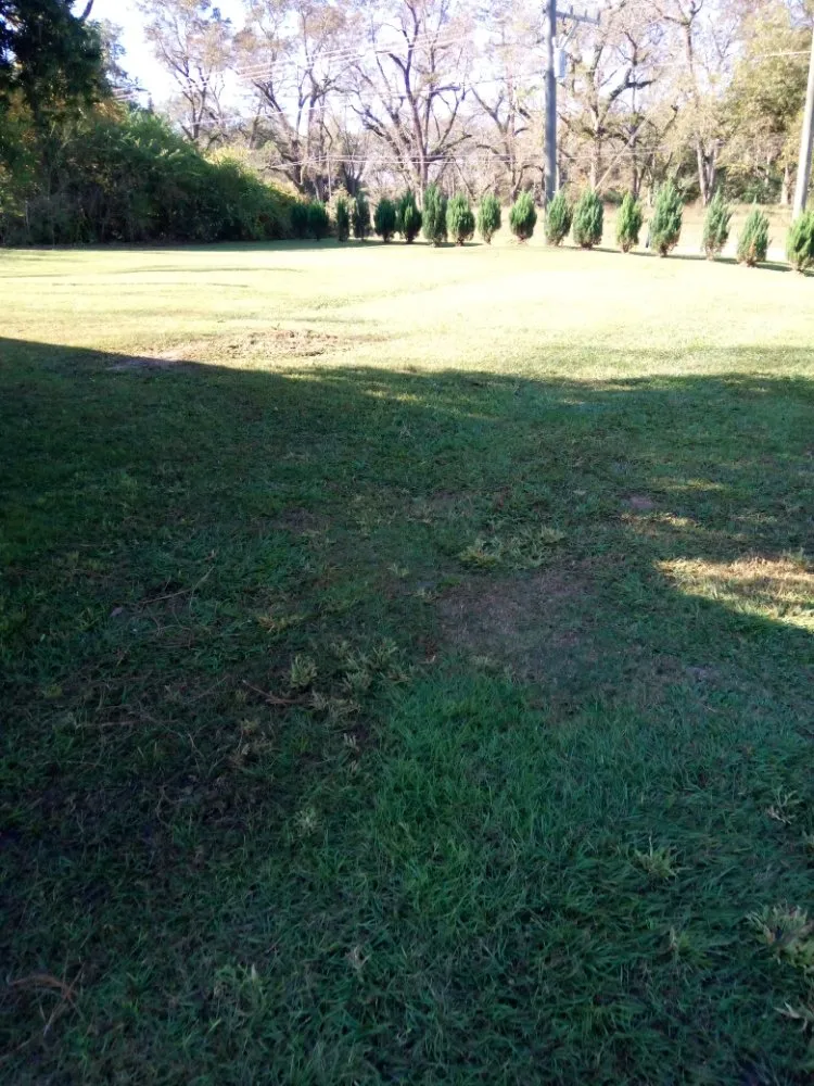 Reliable landscaping services for year-round maintenance in Cairo, GA by Edward Jones LawnCare