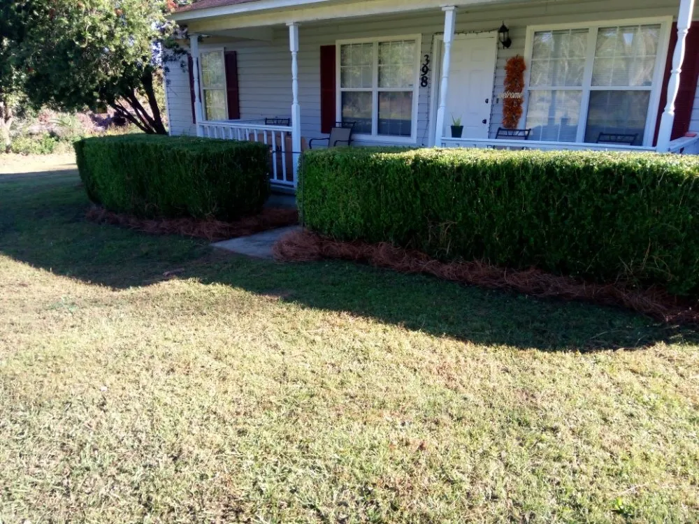Trusted yard cleanup service in Cairo, GA - Edward Jones LawnCare