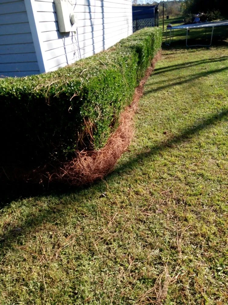 Expert yard maintenance in Cairo, GA by Edward Jones LawnCare