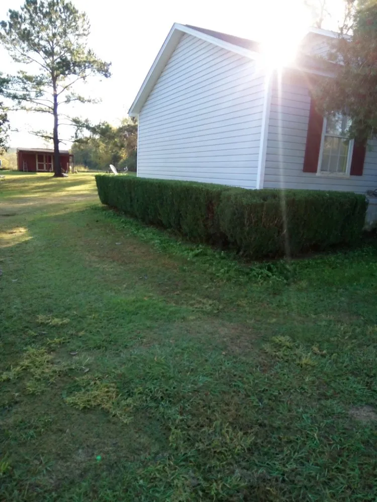 Reliable residential landscaping in Cairo, GA by Edward Jones LawnCare