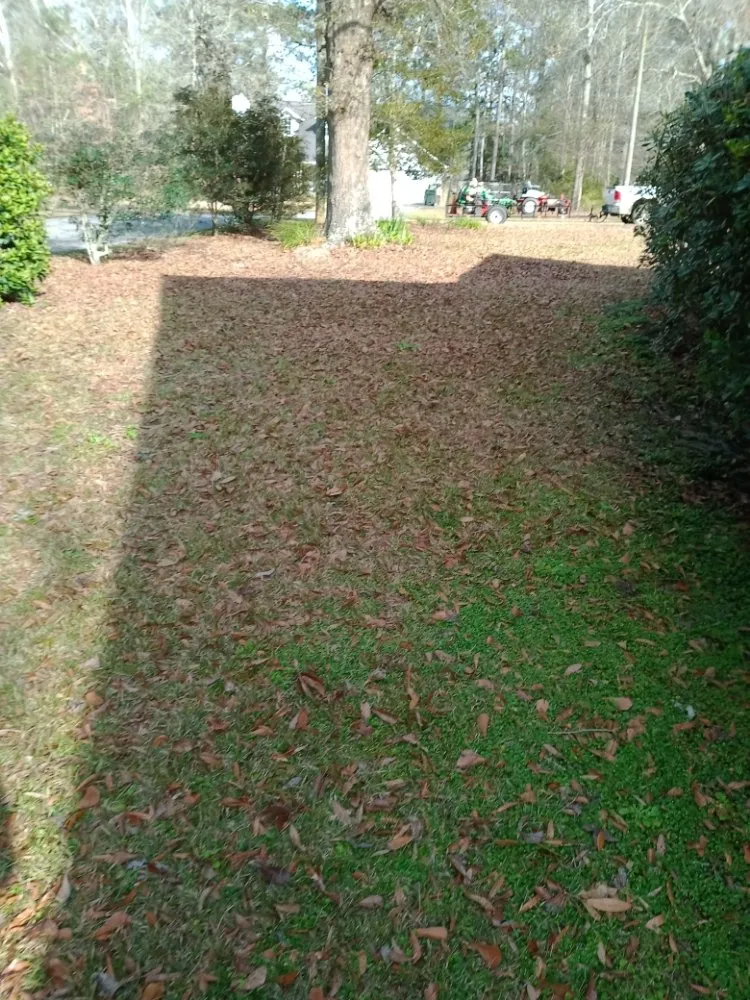 Top-rated landscaping services in Cairo, GA - Edward Jones LawnCare