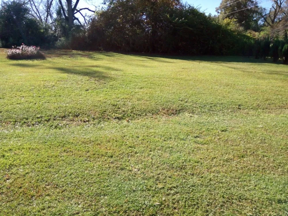 Trusted outdoor landscaping in Cairo, GA - Edward Jones LawnCare