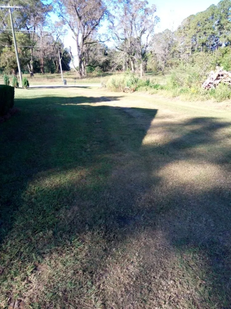 Expert outdoor landscaping for homes across Cairo, GA - Edward Jones LawnCare