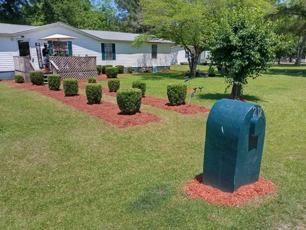 Expert yard maintenance in Cairo, GA - Edward Jones LawnCare