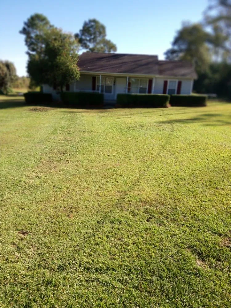 Custom landscape design in Cairo, GA by Edward Jones LawnCare