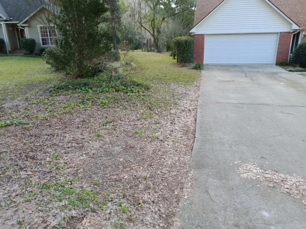 Trusted outdoor landscaping in Cairo, GA - Edward Jones LawnCare