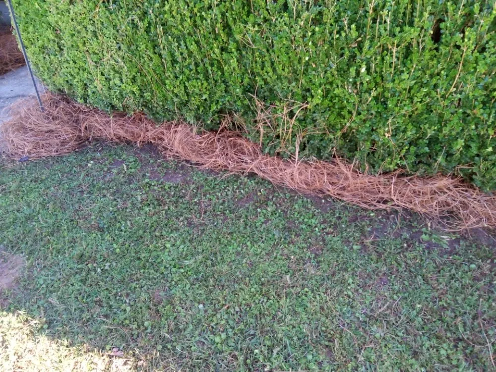 Trusted landscape installation experts serving Cairo, GA - Edward Jones LawnCare