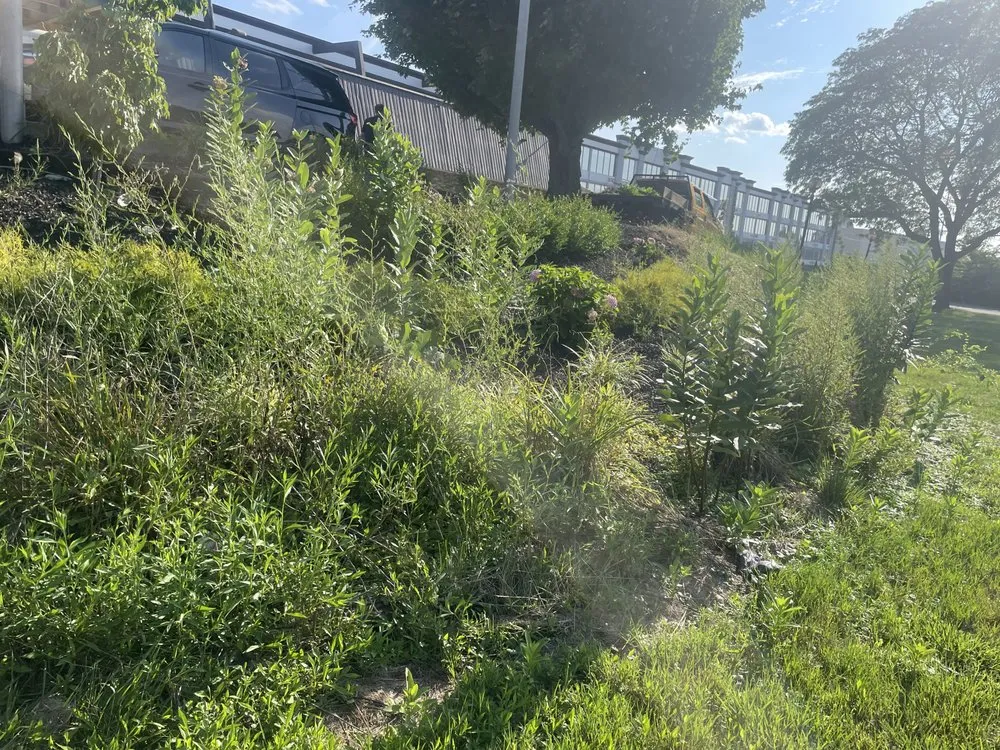 Custom outdoor landscaping in Quarryville, PA - Edward Lawn Care and Junk Removal