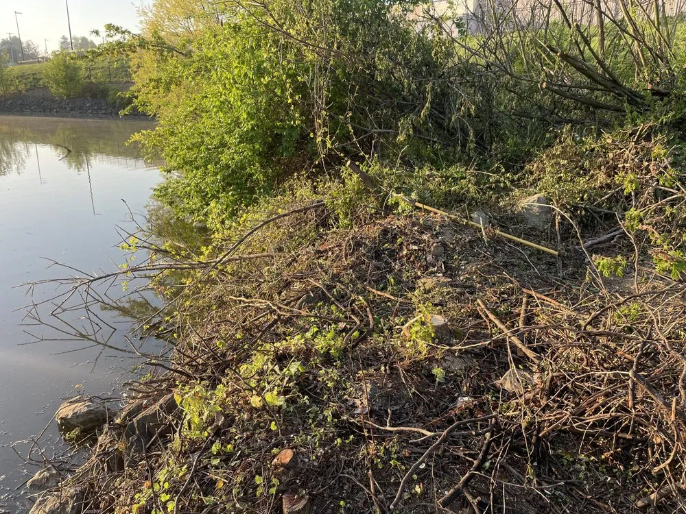 Top-rated landscaping services in Quarryville, PA by Edward Lawn Care and Junk Removal