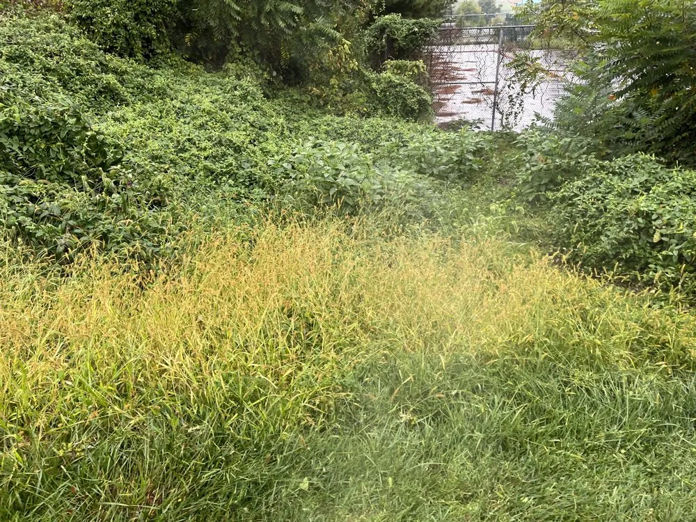 Trusted landscape design experts serving Quarryville, PA - Edward Lawn Care and Junk Removal