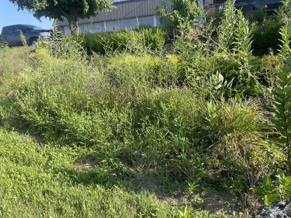 Top-rated residential landscaping experts serving Quarryville, PA - Edward Lawn Care and Junk Removal