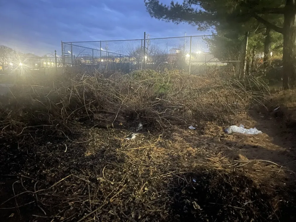 Affordable landscape installation for outdoor upgrades in Quarryville, PA by Edward Lawn Care and Junk Removal