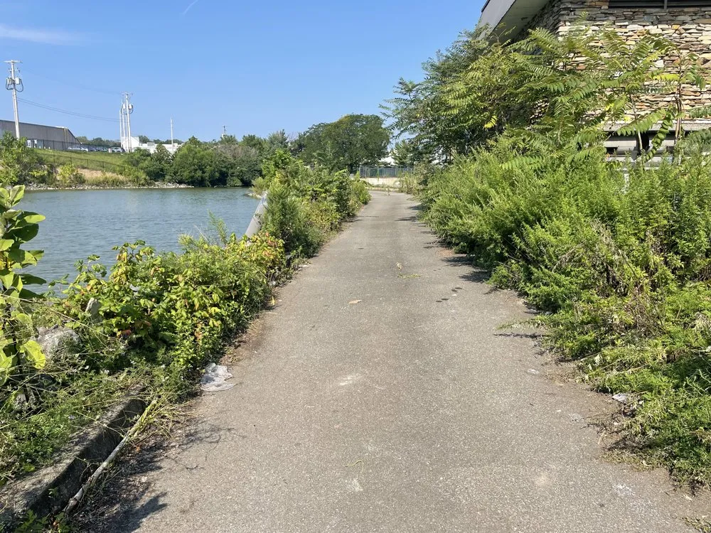 Top-rated landscape installation for outdoor upgrades across Quarryville, PA - Edward Lawn Care and Junk Removal