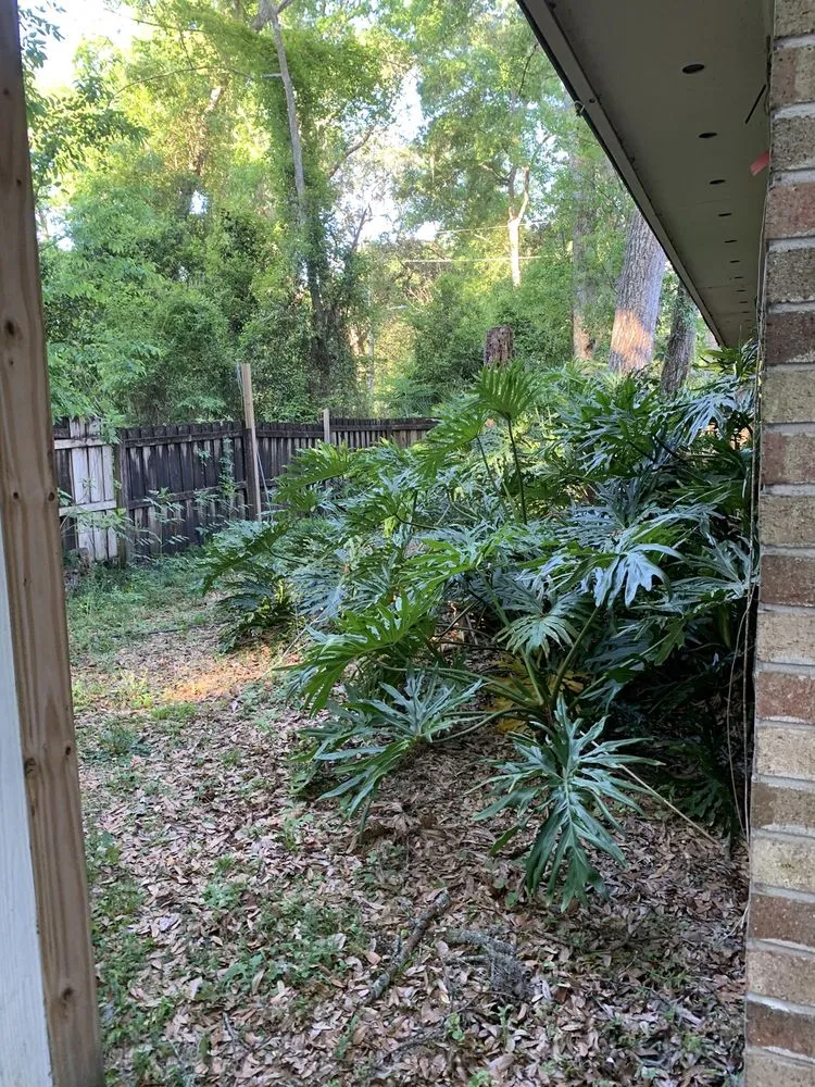 Expert landscaping services near you across Intercession City, FL - Edward Lawn Care