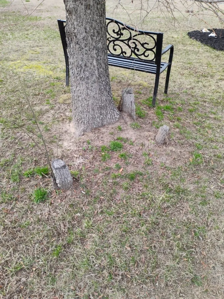 Professional yard cleanup service in Cape May Court House, NJ by Edward Scissor Hand's Landscaping