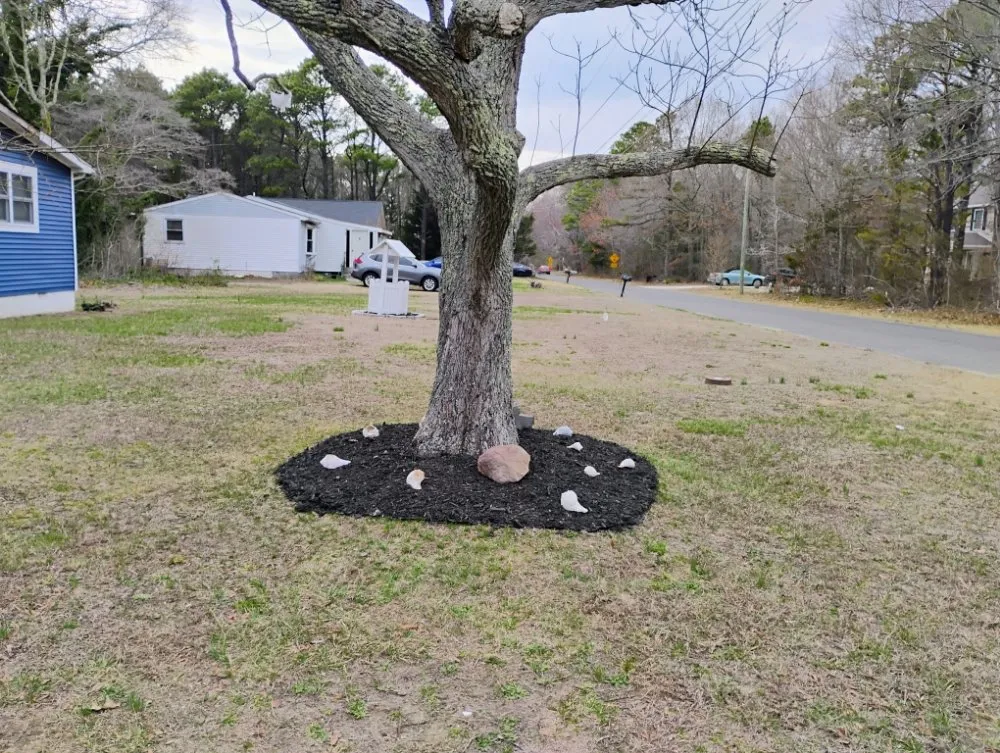 Reliable landscape installation experts serving Cape May Court House, NJ - Edward Scissor Hand's Landscaping