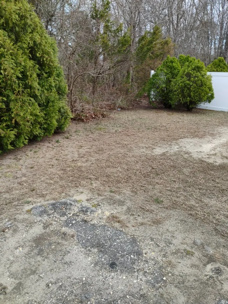 Trusted lawn mowing service in Cape May Court House, NJ - Edward Scissor Hand's Landscaping