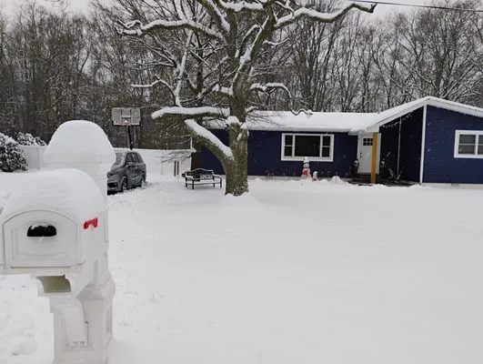 Edward Scissor Hand's Landscaping