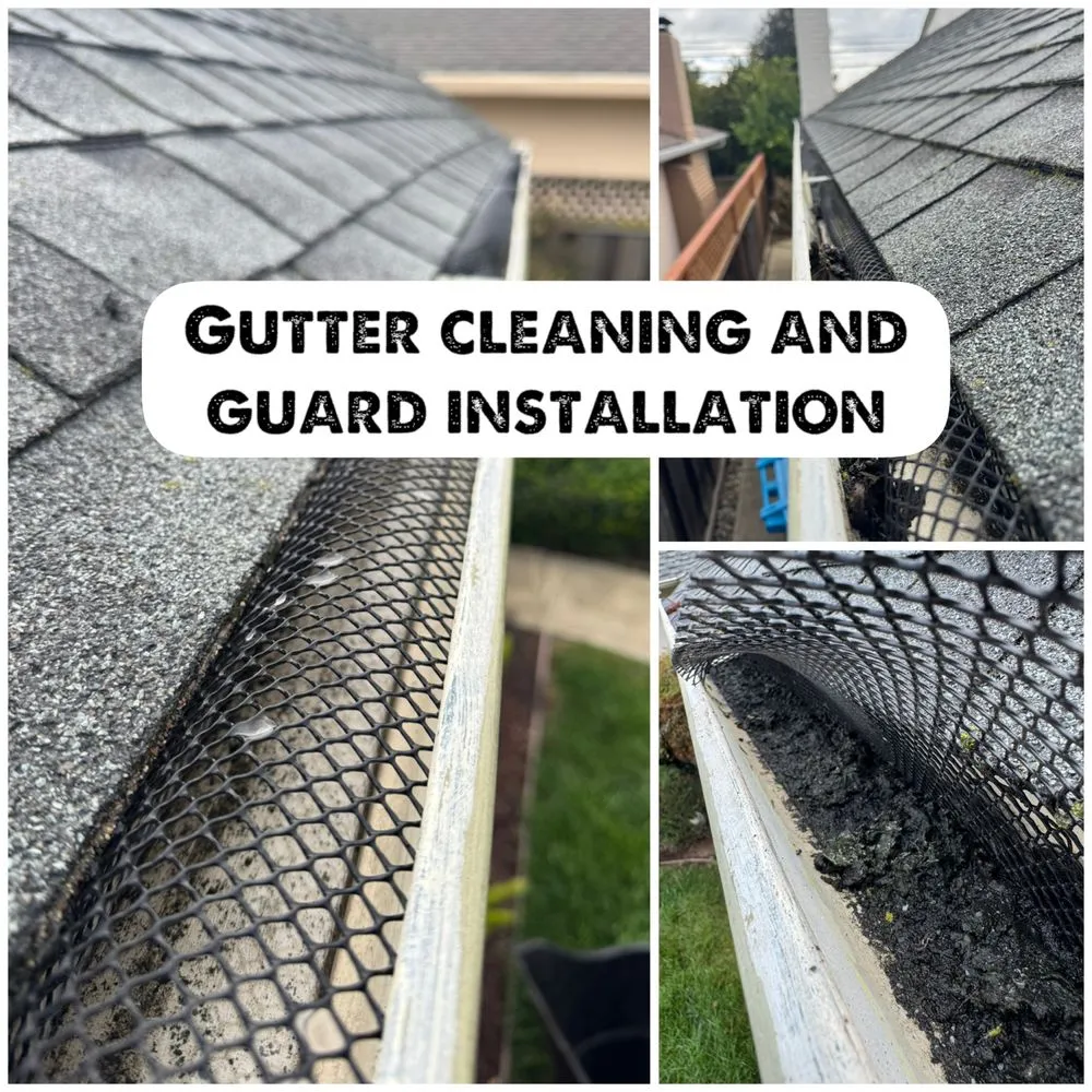 Reliable garden landscaping for outdoor upgrades in San Jose, CA by Edward Services