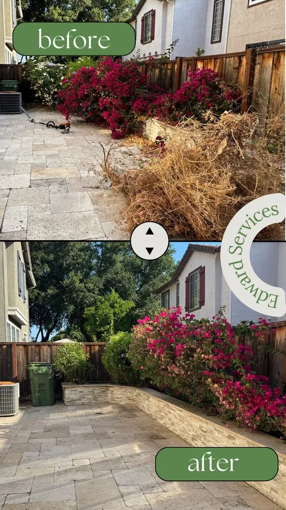 Affordable yard cleanup service for outdoor upgrades in San Jose, CA by Edward Services