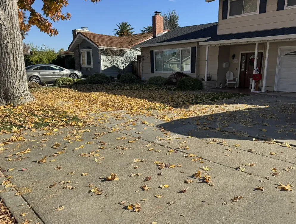 Trusted landscape installation for year-round maintenance in San Jose, CA by Edward Services