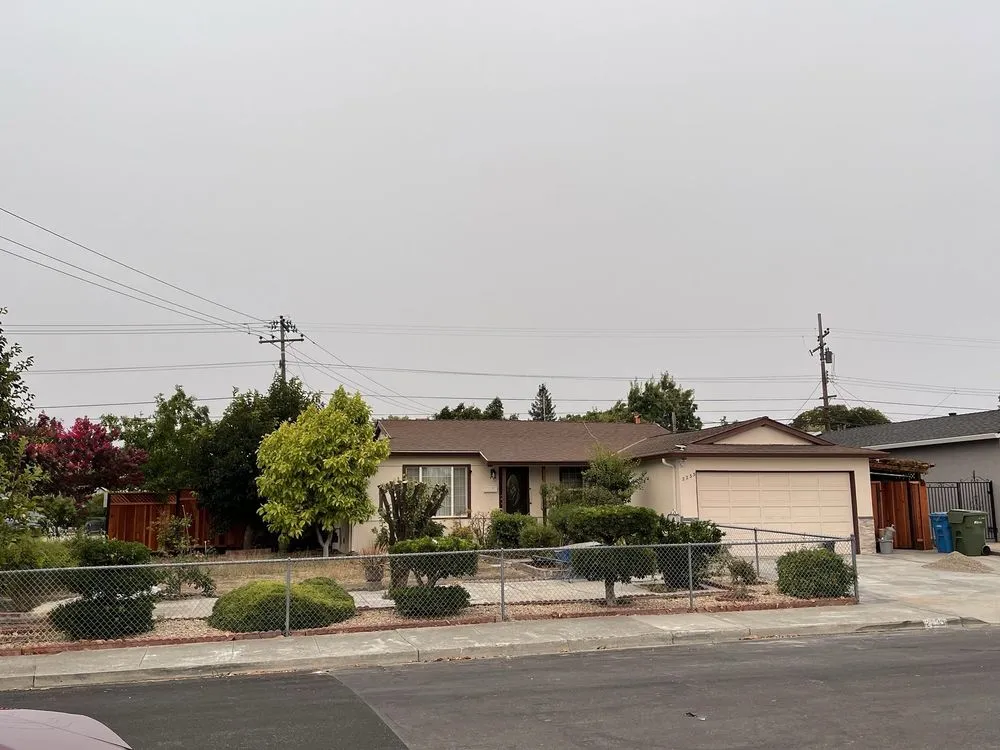 Local landscape design in San Jose, CA - Edward Services