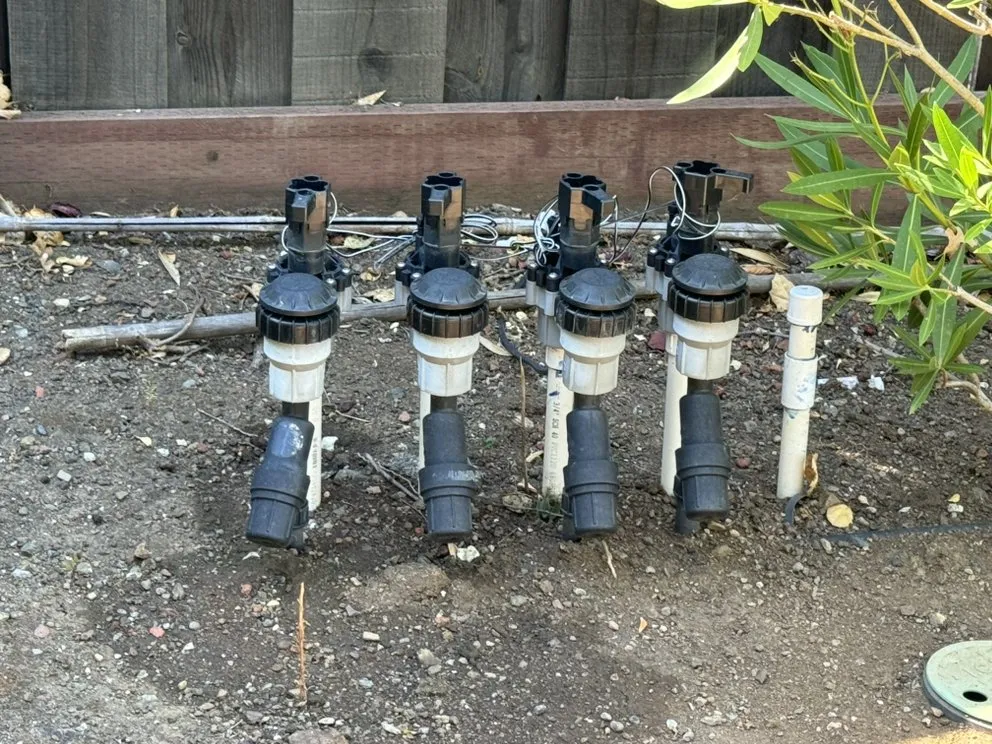 Reliable outdoor landscaping in San Jose, CA by Edward Services