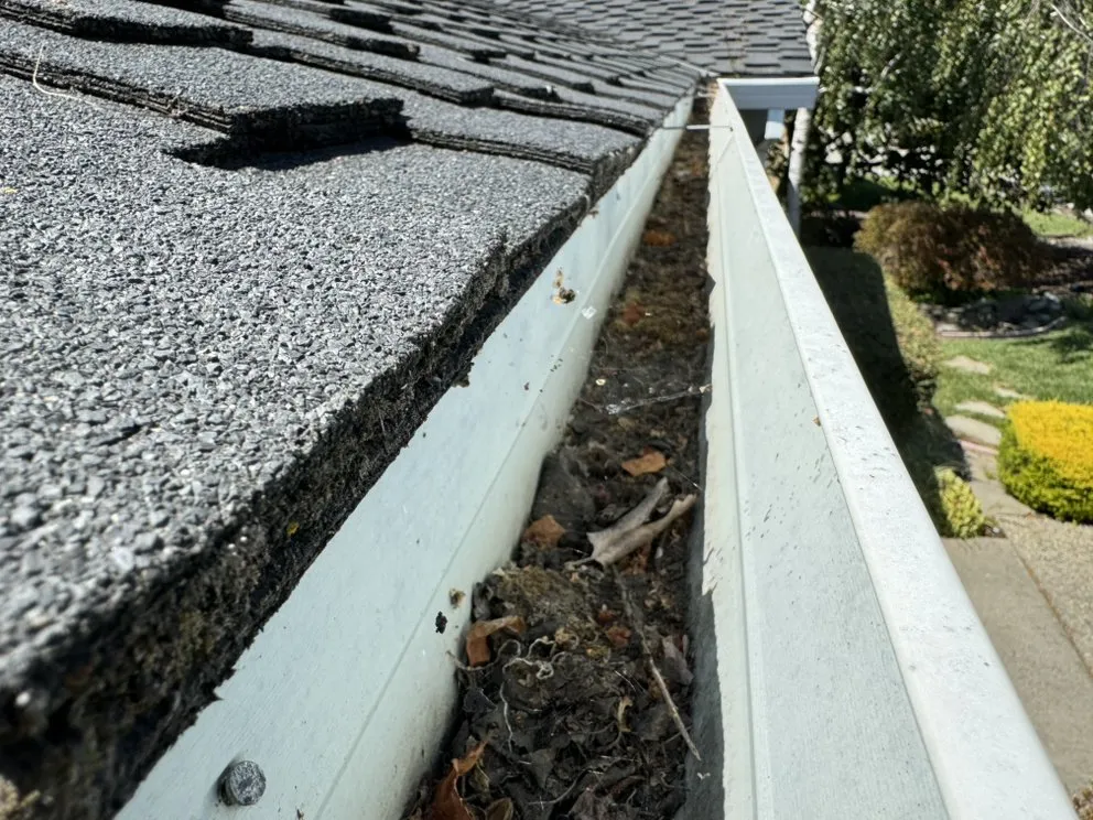 Expert lawn mowing service experts serving San Jose, CA - Edward Services