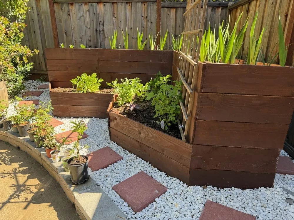 Local yard maintenance for beautiful yards across San Jose, CA - Edward Services