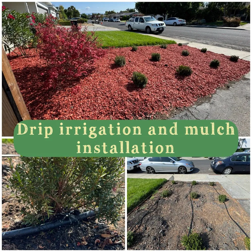 Expert landscape design in San Jose, CA - Edward Services