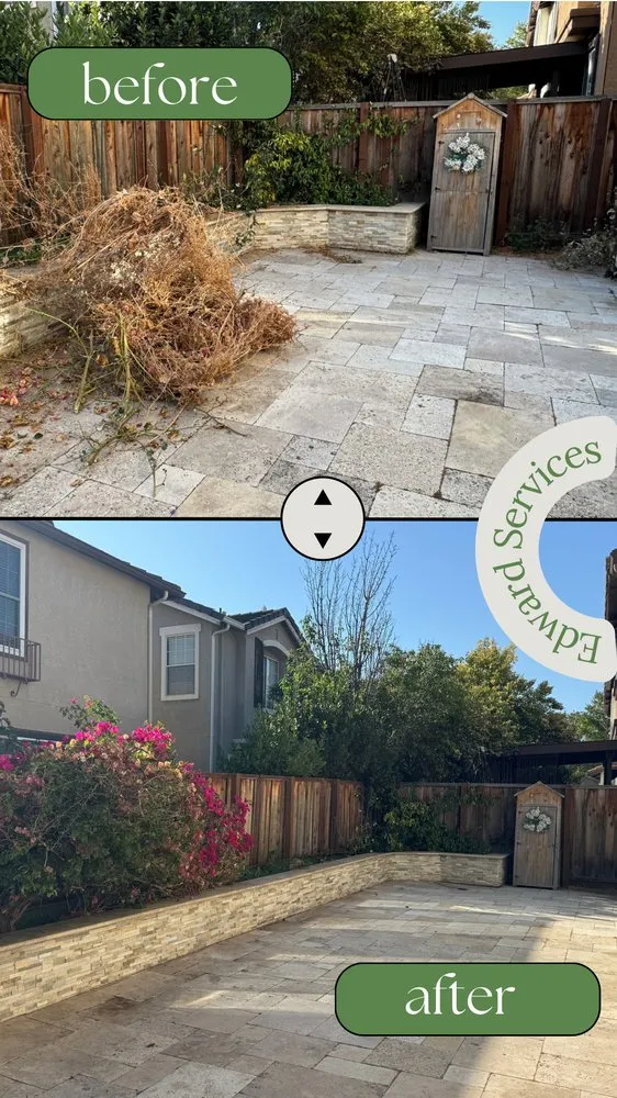 Top-rated yard maintenance experts serving San Jose, CA - Edward Services