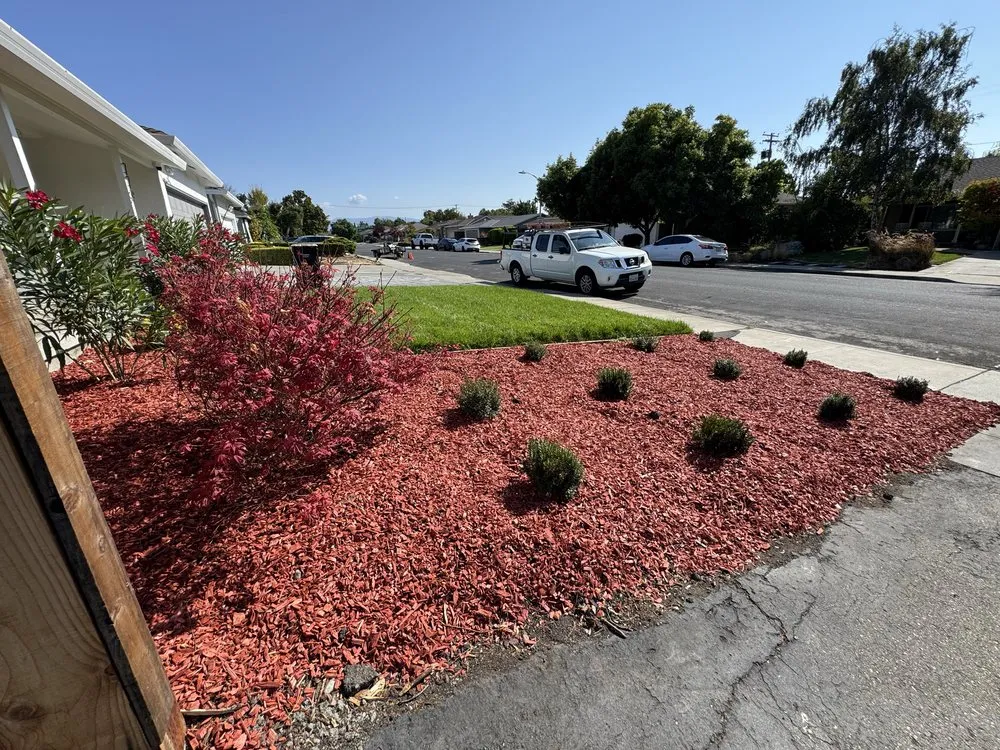 Professional yard maintenance with custom design across San Jose, CA - Edward Services