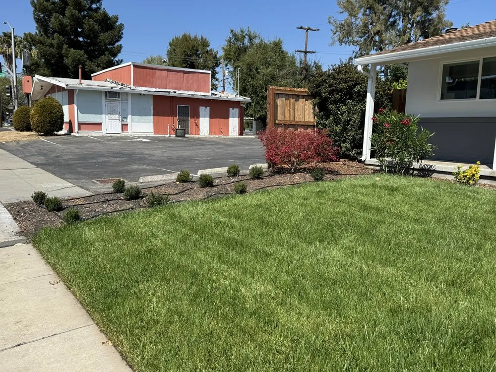 Expert yard maintenance for residential properties across San Jose, CA - Edward Services