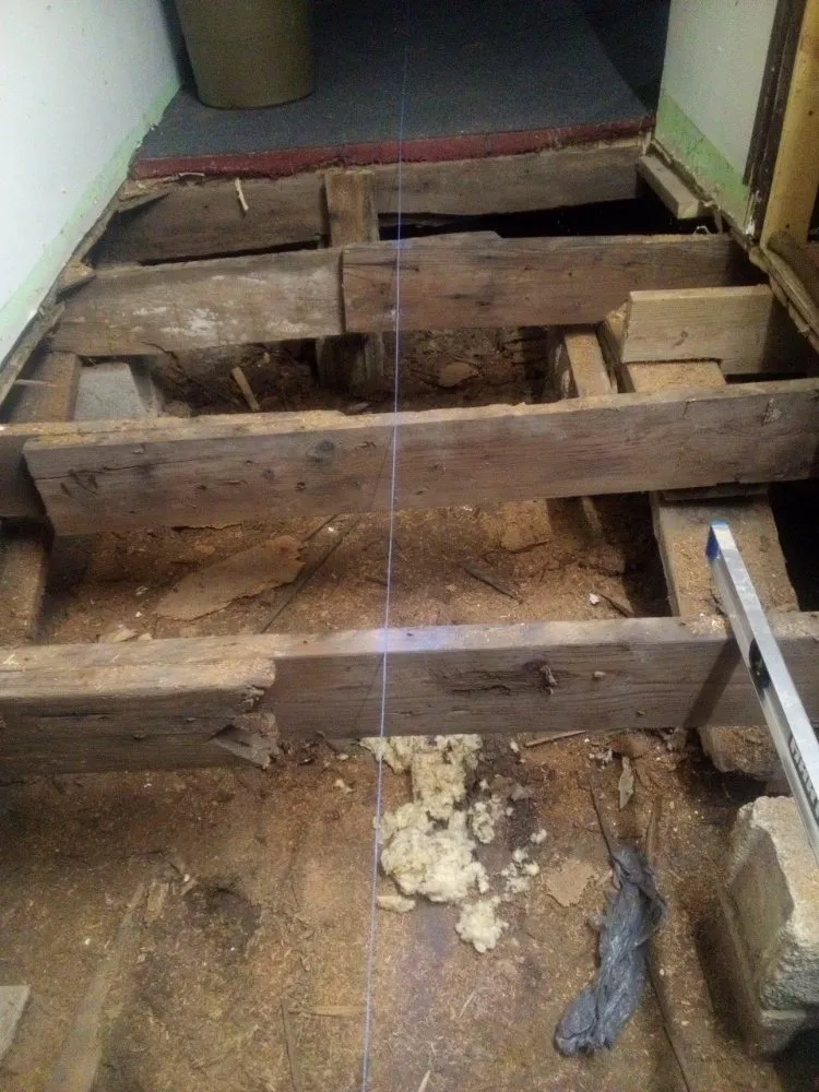 Custom landscape installation for year-round maintenance across Carterville, IL - Edwards And Sons