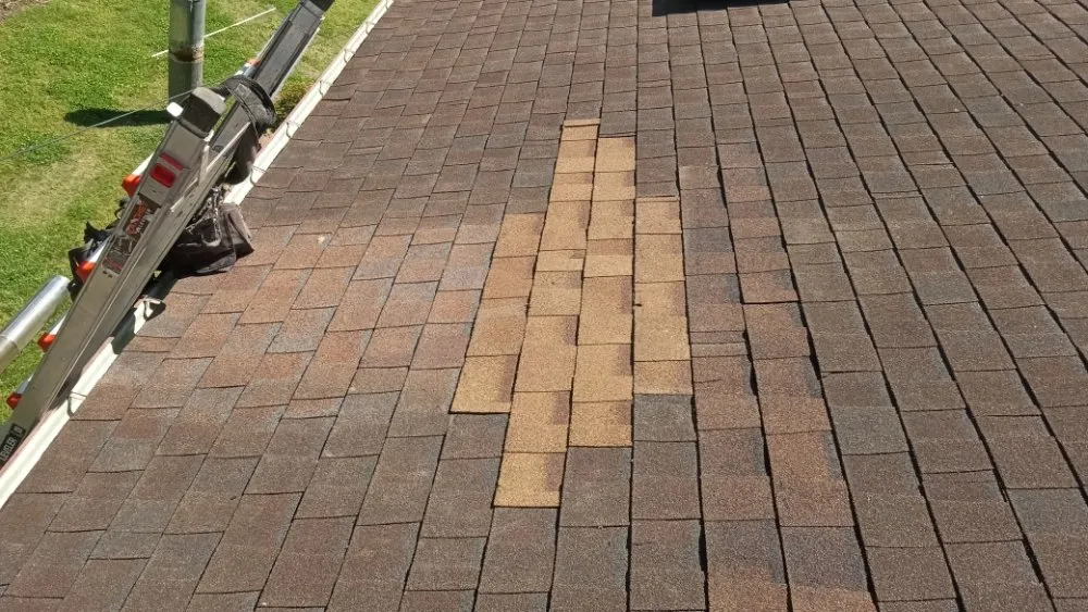 Affordable residential landscaping in Carterville, IL - Edwards And Sons