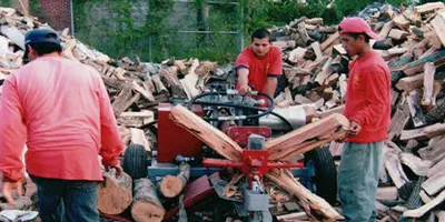 Reliable yard maintenance for year-round maintenance in Southampton Township, NJ by Edwards and Sons Tree Service