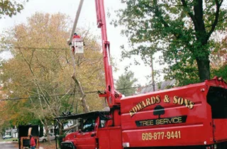 Custom garden landscaping in Southampton Township, NJ - Edwards and Sons Tree Service