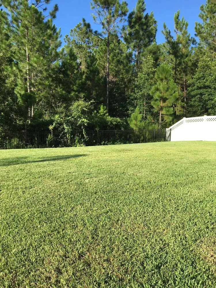 Professional lawn mowing service near you across Lithia, FL - Edwards Edge Lawn Care
