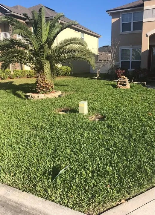 Expert landscape installation experts serving Lithia, FL - Edwards Edge Lawn Care