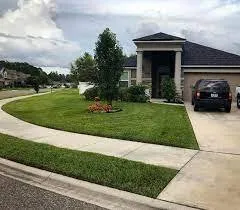 Local yard cleanup service near you in Lithia, FL by Edwards Edge Lawn Care