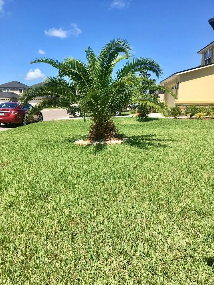 Top-rated yard maintenance for year-round maintenance in Lithia, FL by Edwards Edge Lawn Care