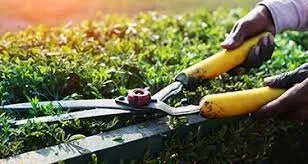 Top-rated landscape installation in Lithia, FL by Edwards Edge Lawn Care