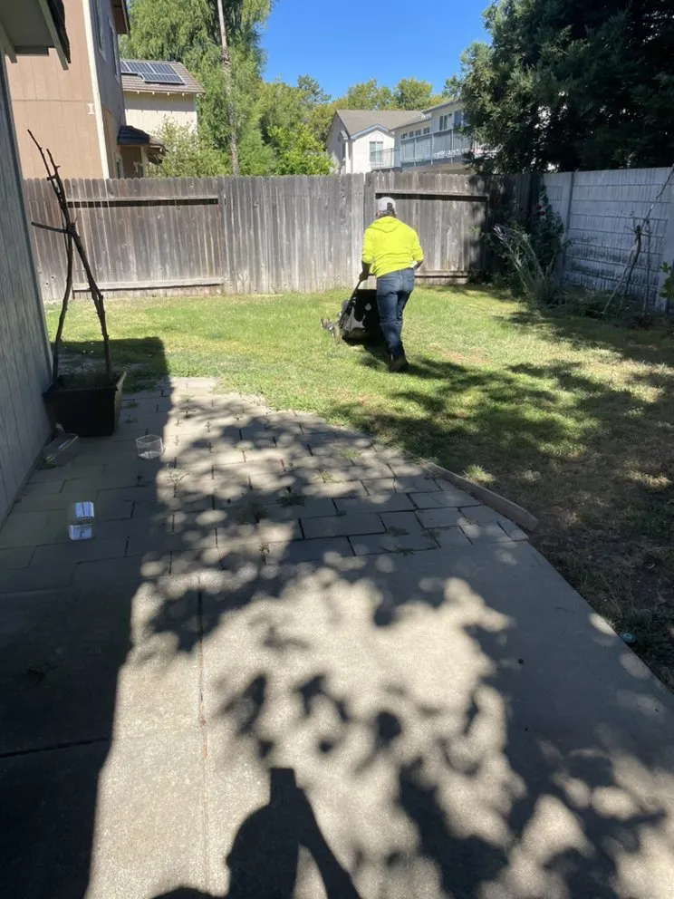 Affordable landscaping services for year-round maintenance across Antioch, CA - Edwards Hauling And Landscaping