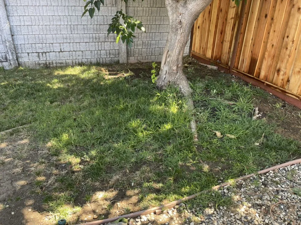 Expert landscaping services in Antioch, CA - Edwards Hauling And Landscaping