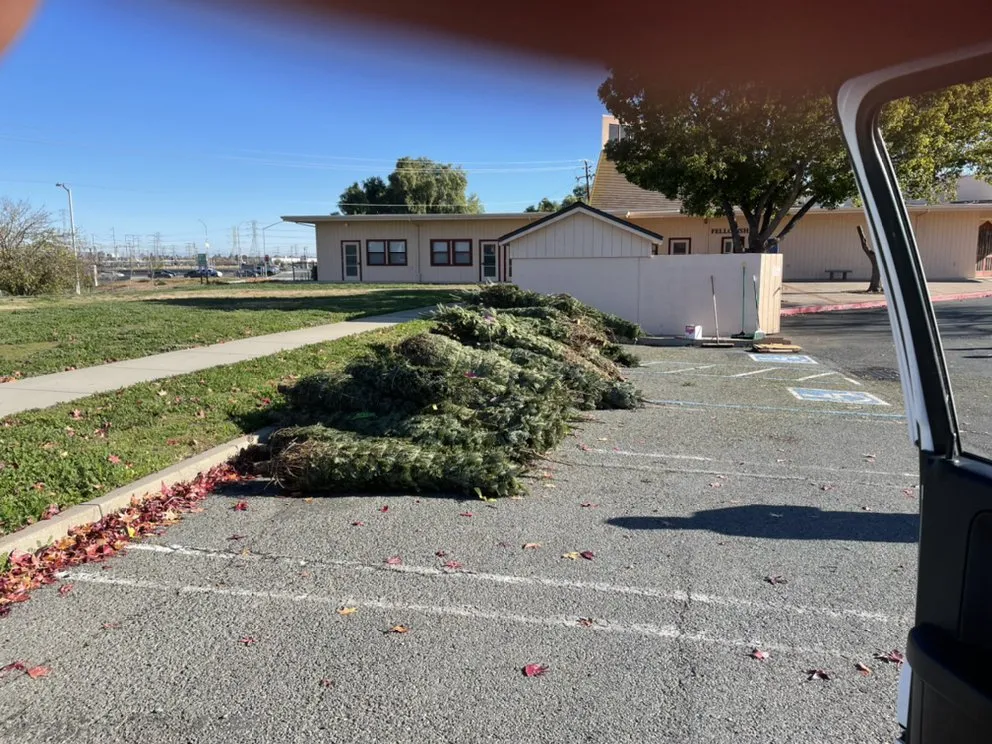 Expert yard maintenance in Antioch, CA by Edwards Hauling And Landscaping